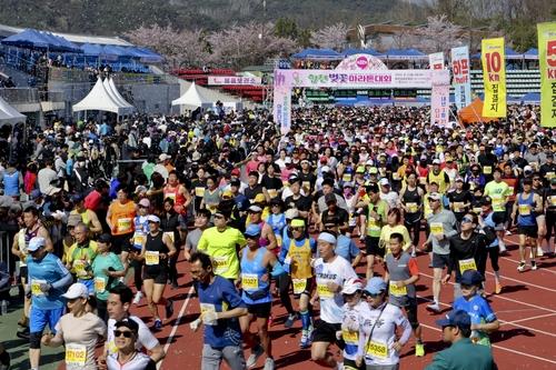 3월말 개최 '합천벚꽃마라톤대회' 참가 신청 조기 마감