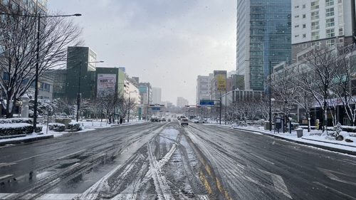 성묘·외출 대신 '방콕'…대설특보 광주·전남서 바뀐 명절나기