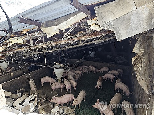 '연휴 폭설 피해' 복구대책지원본부 가동…"피해지역 안정 최선"