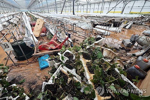 이상고온·집중호우·폭염…연중 끊이지 않는 자연재해