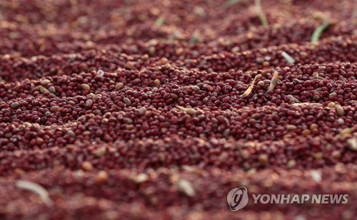 국립종자원 강원, 팥·콩 정부보급종 농가 신청 내달부터 접수