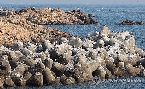 '한달 남은 겨울' 강추위 없으려나…늦겨울·봄 예년比 따뜻할듯