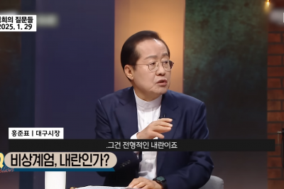 홍준표 “박정희는 전형적인 내란” 발언에 비판일자…“모르면 멍청이”