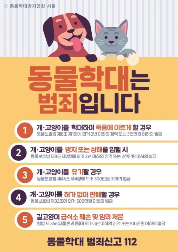 “취업 스트레스 받아서” 길고양이 죽인 30대 취준생 벌금형