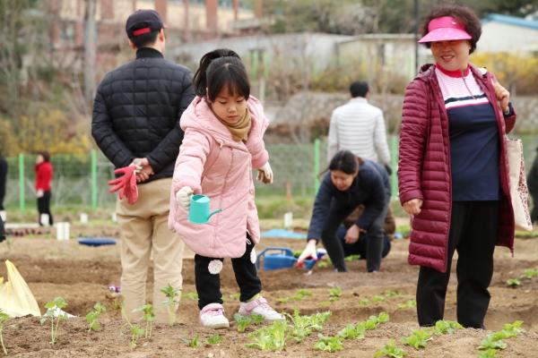 성동구, 무지개텃밭 393·다산농원 100구획 분양