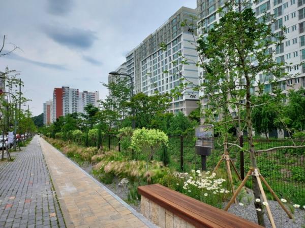 광주 남구 효천중앙로에 조성된 명품가로숲길. 광주광역시 제공