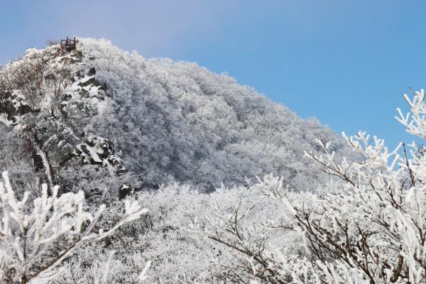 팔공산 겨울 풍경 맛집, 카페부터 케이블카까지…힐링 여행지로 주목