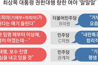 관료와 정치인 사이… 최상목을 바라보는 불편한 시선들