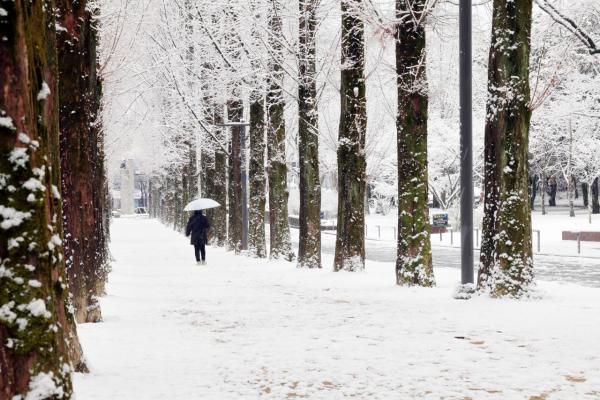 서울 전역 대설주의보…동북권 한파경보 유지