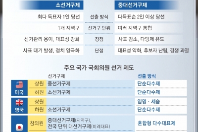 22대 총선표 42% ‘死票’… ‘승자독식’ 소선거구제 판을 바꿔라[87년 체제 ‘대한민국’만 빼고 다 뜯어고치자]