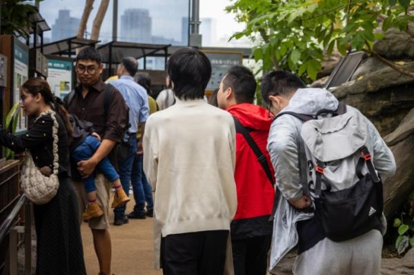 “불순한 의도 있다”…‘홀로 온 남성, 출입 금지’ 선언한 동물원에 日 ‘시끌’