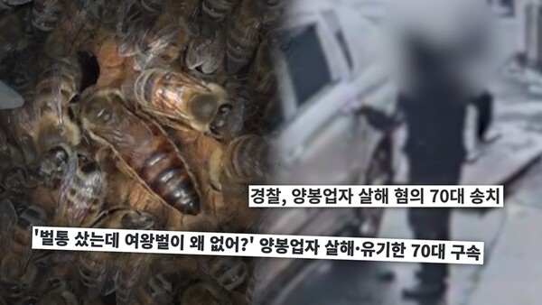 SBS ‘궁금한 이야기 Y’