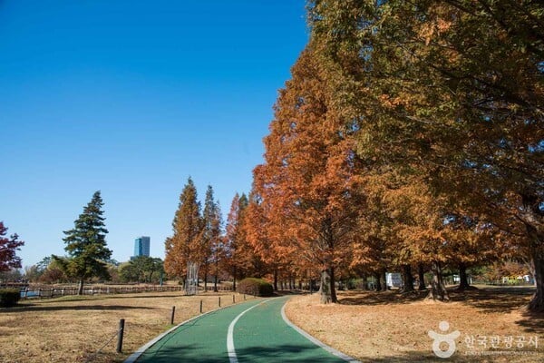 [사진=한국관광공사 포토코리아-라이브스튜디오 김학리]