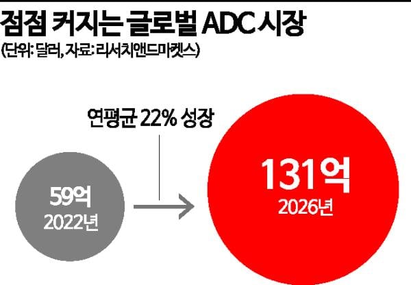 표적 암 치료제 'ADC' 상용화 원년, 韓 제약·바이오 속도전