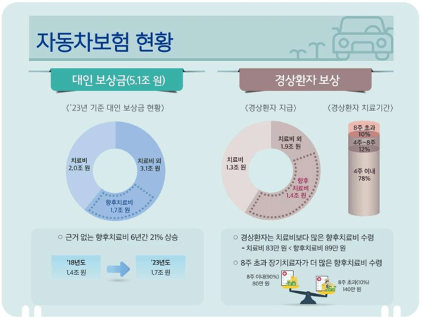 車사고 경상 환자 '향후치료비' 지급 차단…정부, 부정수급 개선 대책 발표