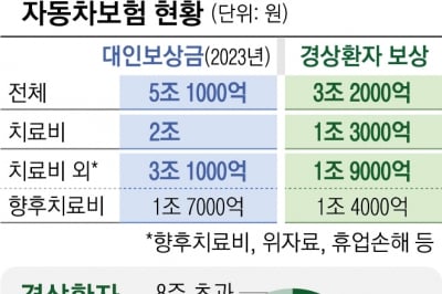 車보험 ‘향후치료비’ 중상만 지급… 나이롱환자들, 합의금 못 받는다