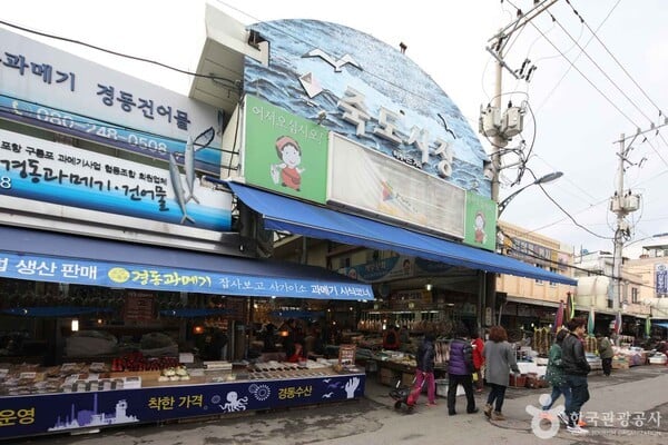 3월 첫 주말 포항날씨, 흐리고 비 예보…실내 여행지 추천!