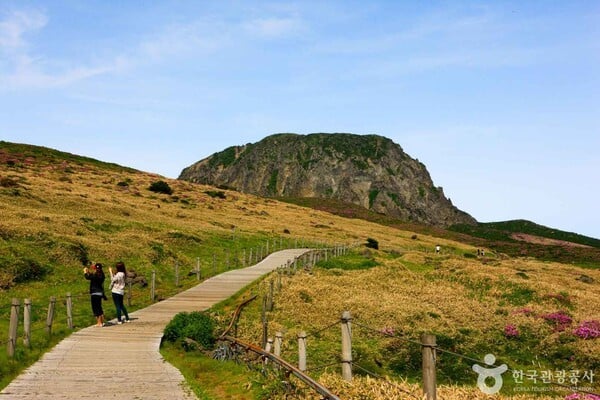 한라산 여행, 백록담까지 오르는 인기 등산 코스는?