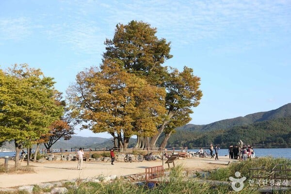 양평 날씨 맑은 날, 자연 속 힐링을 즐길 수 있는 명소는?