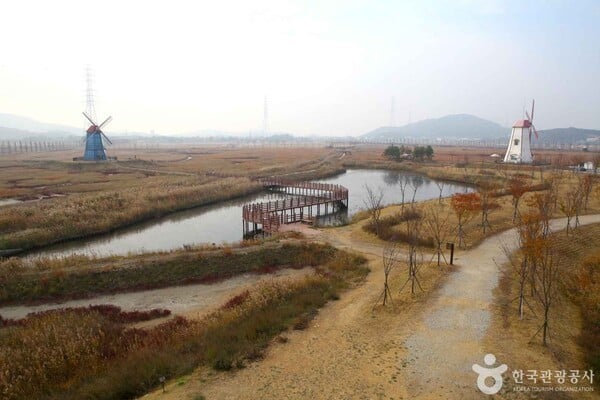 안산 주말 날씨 흐리고 비 예보…실내외 추천 여행지는?