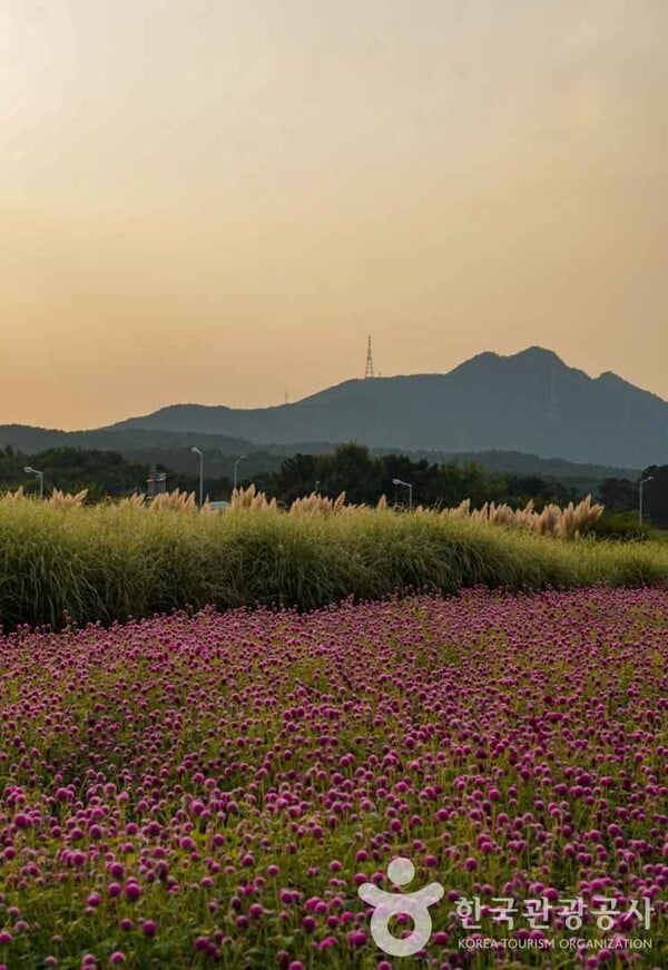 양주 날씨 맑은 날, 꼭 가봐야 할 여행지는?