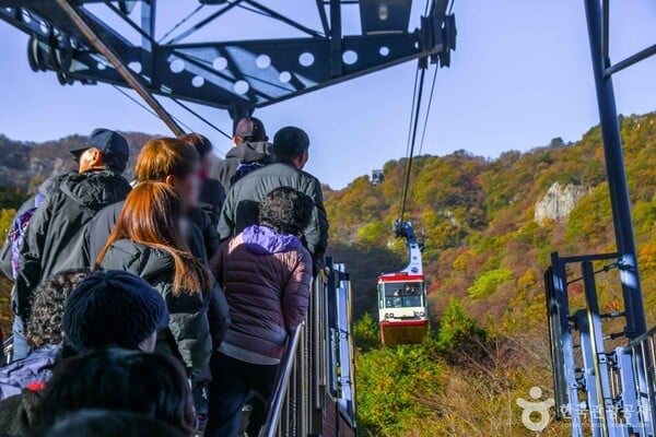 내장산국립공원 출처-포토코리아 두드림