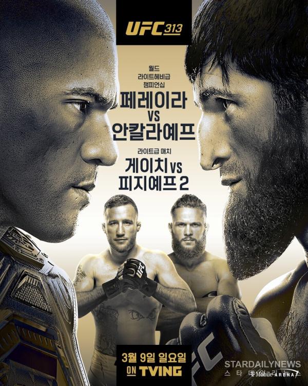 UFC 313 페레이라 vs 안칼라예프 포스터