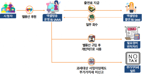 탄핵정국 속 음모론 몰이, 후원금 챙긴 정치 유튜버… 국세청, 세무조사 칼 뺐다