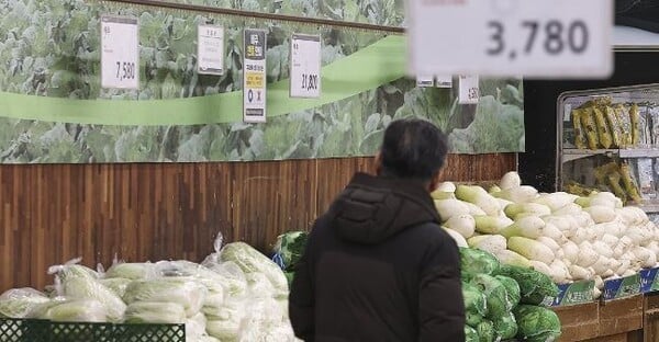 정부, 배추 비축물량 매일 100톤씩 공급…무는 30% 싸게