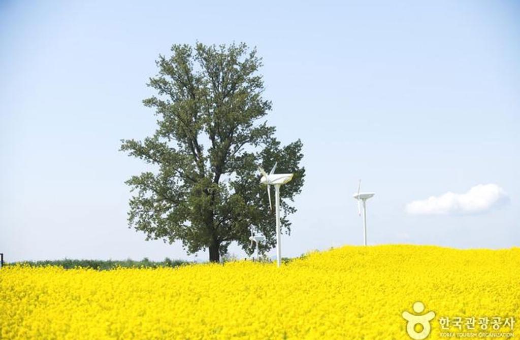 안성 팜랜드 / 출처 : 한국관광공사