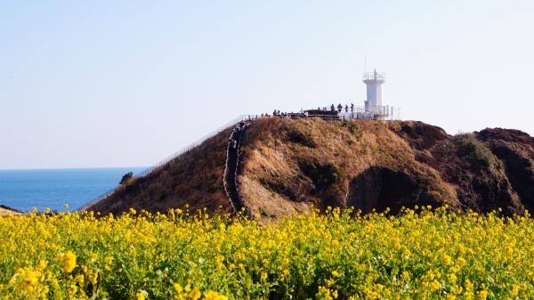 "제주여행 가려고 해도 탈 비행기가 없다"…이미지 타격에 '쪼그라든 하늘길'