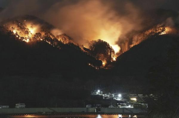 日혼슈 이와테현 대형 산불 11일 만에 진압…건물 210채 피해