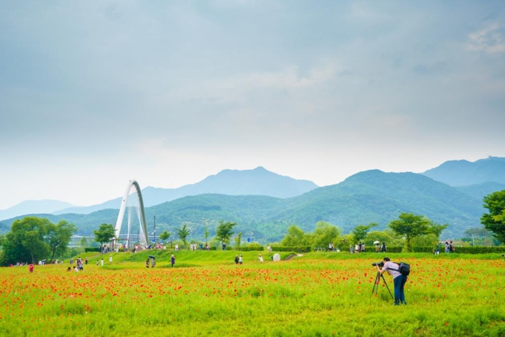 남양주 물의정원 / 출처 : 남양주