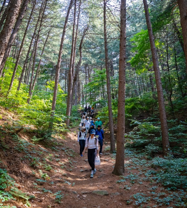 지난해 충남 예산군 덕산면 온천로 스플라스 리솜에서 진행된 ‘그린트레킹’ 모습. 사진: 호반호텔앤리조트.