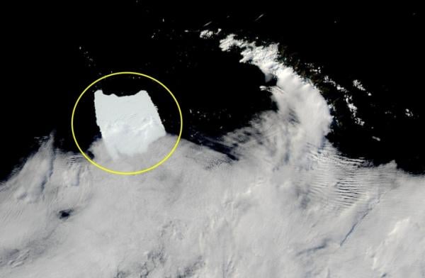 서울 6배 ‘세계서 가장 큰 빙산’ 사우스조지아섬 앞 좌초…운명은? [와우! 과학]