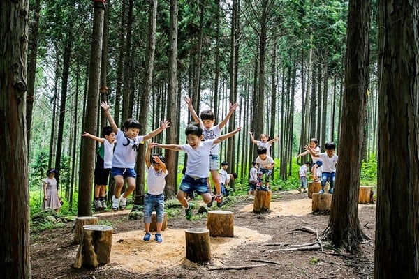 정남진 편백숲 우드랜드 전경. /사진-장흥군