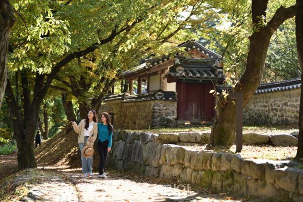 영주 가볼만한 곳, 전통문화와 고즈넉한 풍경 속 여행