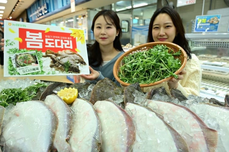 봄에는 도다리… 최대 20% 싸게 팔아요 12일 서울 서초구 농협 하나로마트 양재점에서 모델들이 생선 도다리와 쑥을 함께 선보이고 있다. 농협유통은 자연산 도다리를 이달의 수산물로 정하고 이달 말까지 최대 20% 할인 판매한다.농협유통 제공