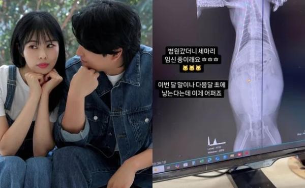 ‘4살 연하♥’ 서동주, 결혼 앞두고 “셋 임신 중…어쩌죠”