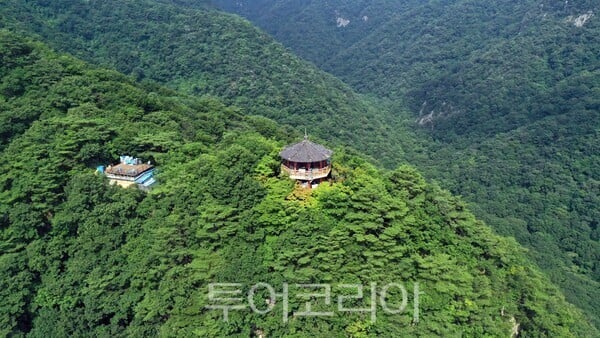 정읍시, 사계절 관광지 브랜딩 도약···내장산 365 봄 시즌 운영