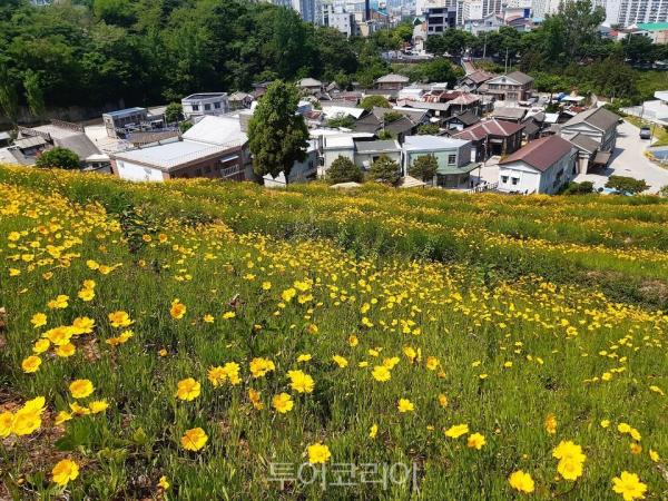 순천 가볼만한 곳, 사진 찍고 힐링하기 좋은 핫플은?