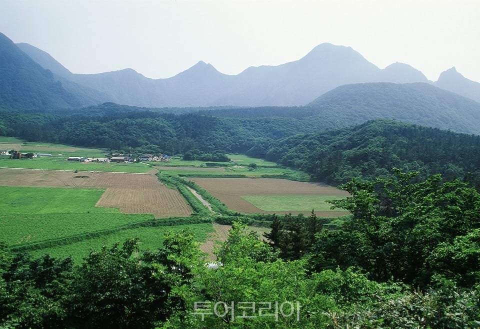 울릉도 나라분지/ 사진 - 경북문화관광공사