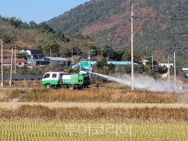 전남도, 영암 한우농장 구제역 발생···신속 초동방역 완료