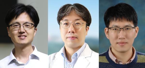 DGIST 공동연구팀, 세계 최초로 유산균 통해 자궁경부암 예방 새로운 열쇠 찾아