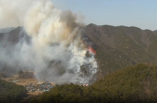 청도 산불, 5시간 넘게 번져…산불영향구역 46.8ha