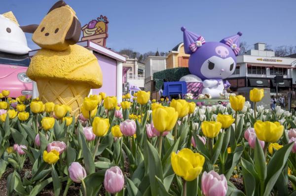 "내가 바라던 봄" 에버랜드, 산리오 튤립축제 21일 개장