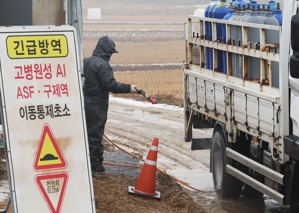 양주 양돈농장서 ASF 발생…올해 세 번째