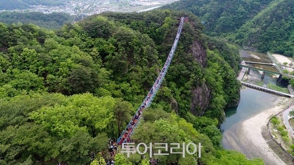 원주의 봄 만끽하러 어디로 떠나볼까?