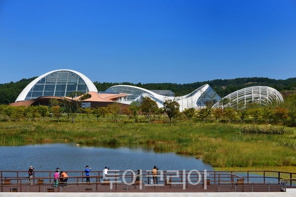 충남 광역투어버스,7개 시군 33코스 운행