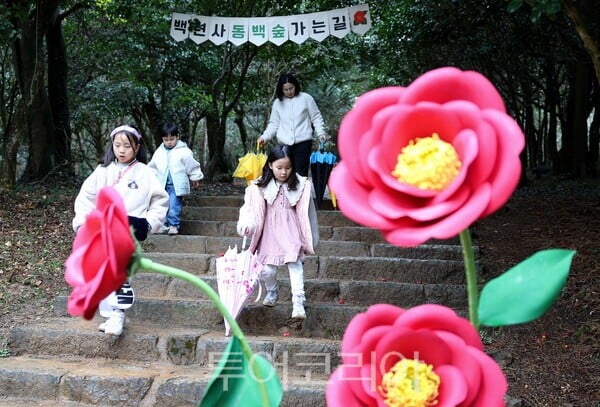 강진 동백축제, 전국 관광객 1만2000명 방문 ‘흥행성공’